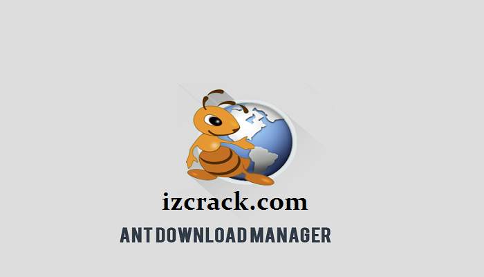 ant download manager download with crack