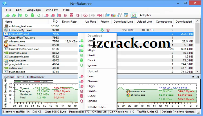 NetBalancer 12.1.1.3556 instal the new version for mac