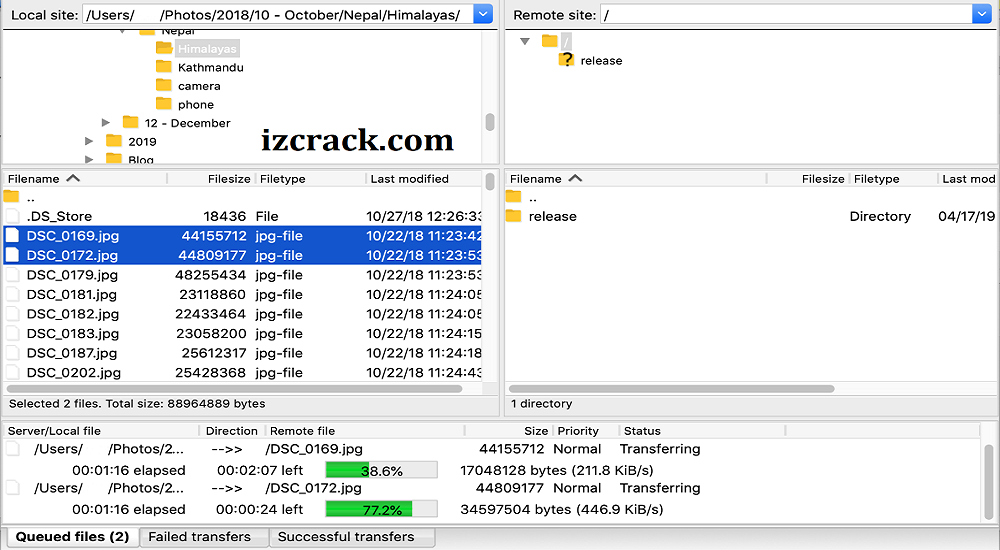 FileZilla Pro Torrent